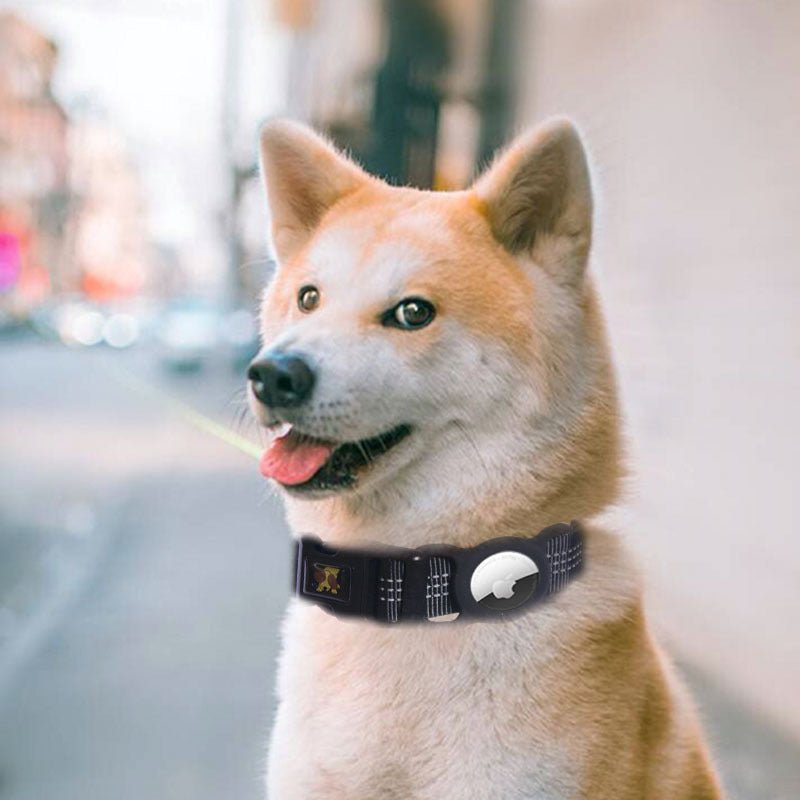 Apple Tag Holder for Pet Collar