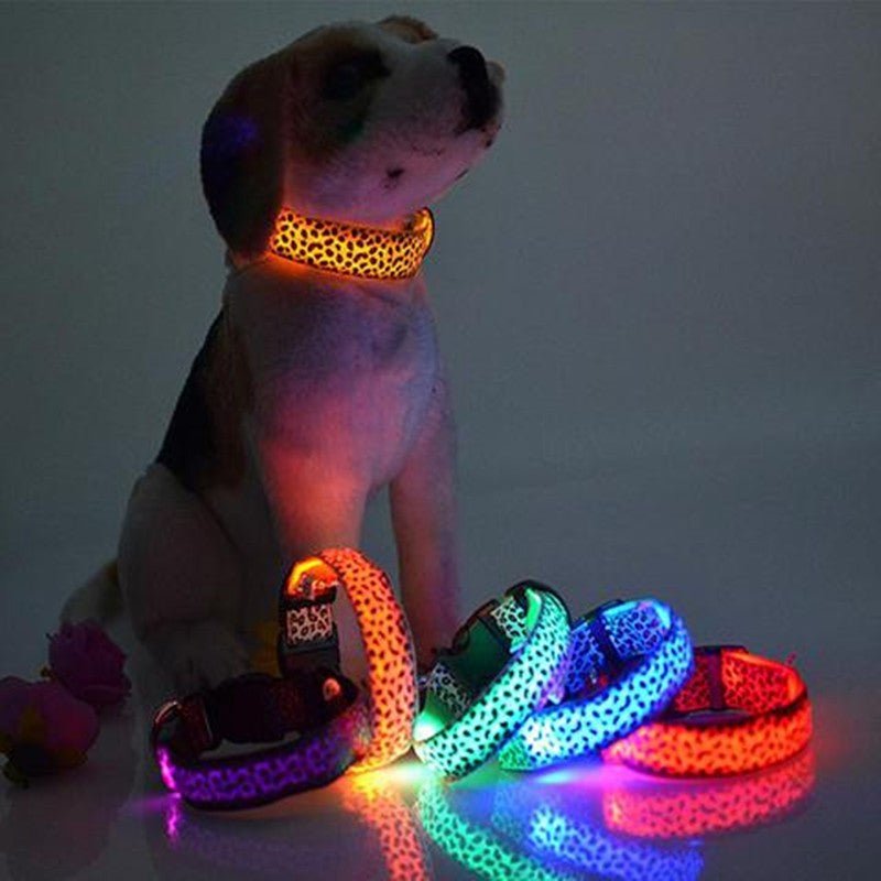 Leaopard LED Dog Collar