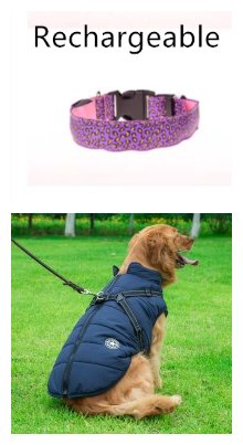 Leaopard LED Dog Collar