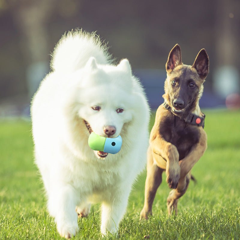 New 2 In 1 Toy Ball