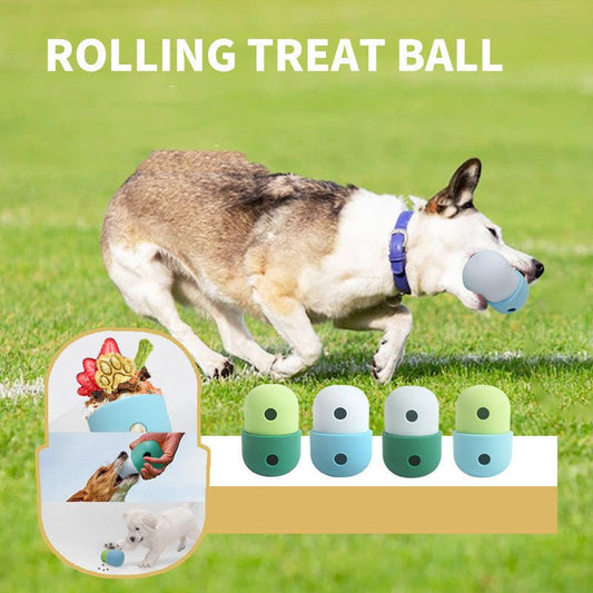 New 2 In 1 Toy Ball