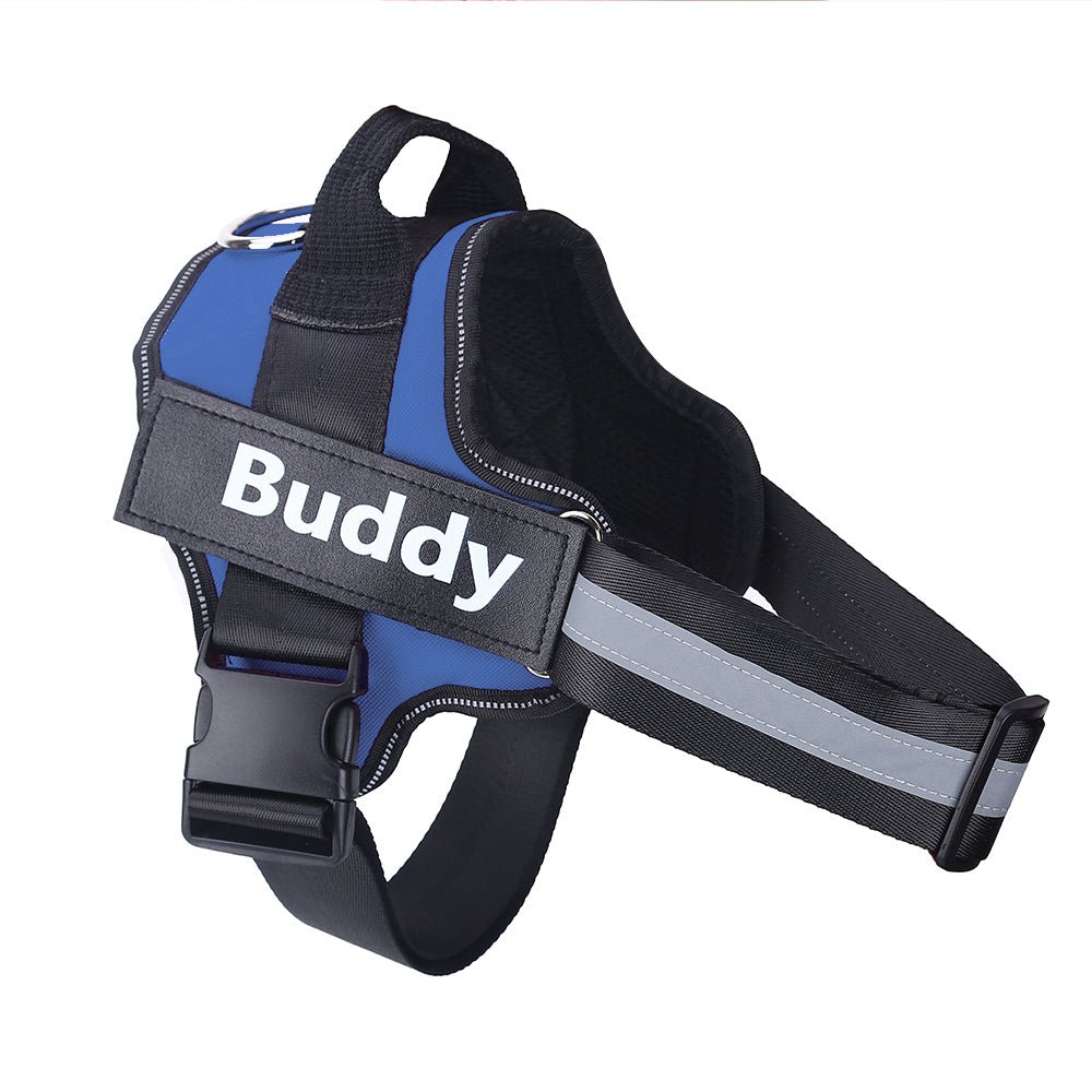 Personalized Reflective No Pull Dog Harness