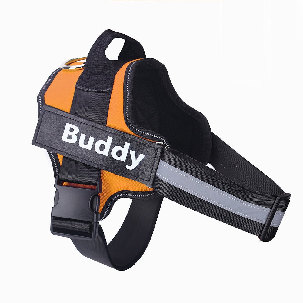 Personalized Reflective No Pull Dog Harness